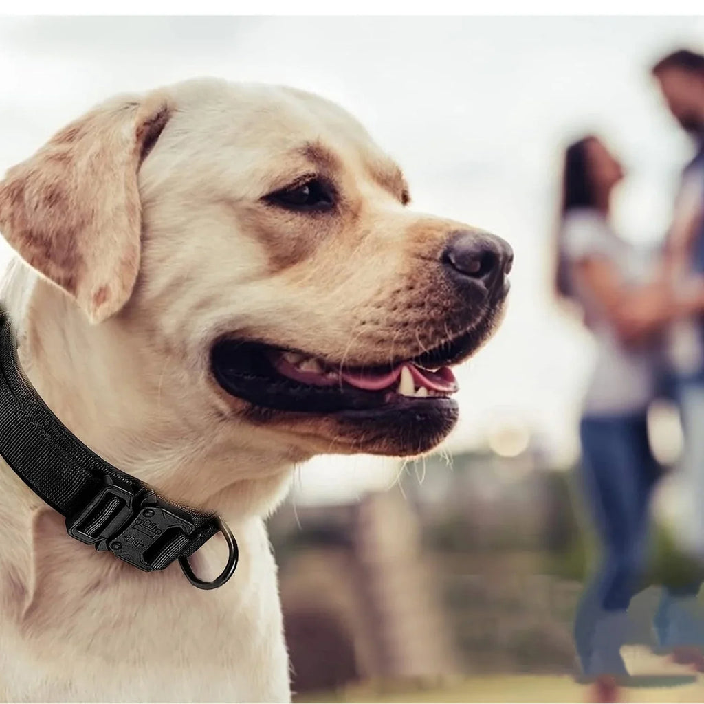 Tactical Dog Collar Adjustable Military Nylon Dog Collar with Control Handle Heavy Duty Metal Buckle for Medium Large Dogs