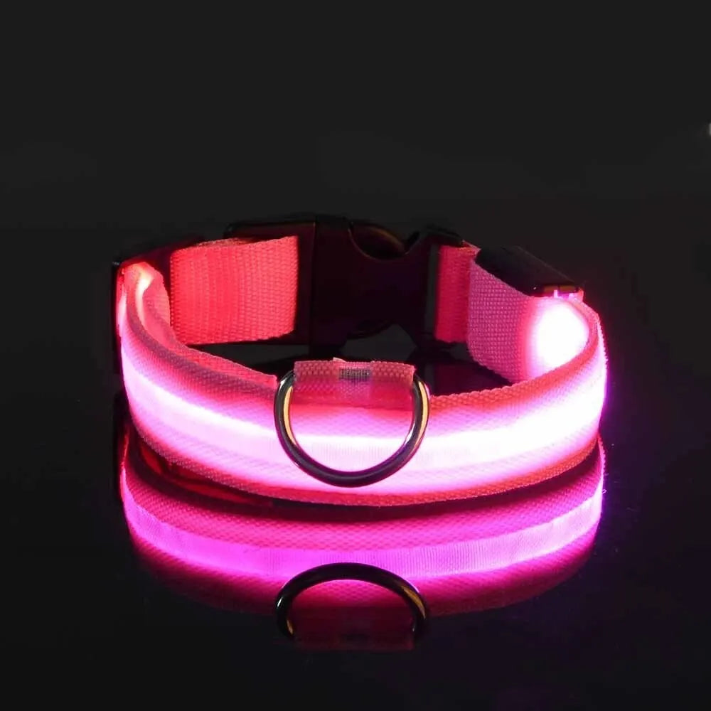 LED Glow Nylon Dog Collar & Leash - Luminous Flashing Night Safety for Dogs Pink