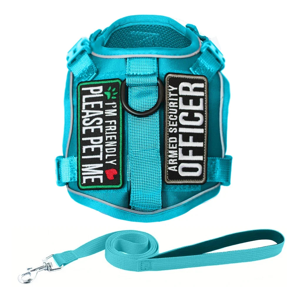 Tactical Dog Harness for Small Dogs - Military Service Dog Vest with Vertical Handle and Reflective Vest for Outdoor Training Harness--BLUE--SET XS（old）