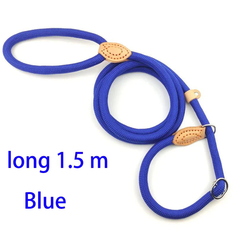 Adjustable Nylon Dog Collar and Harness with Quick-Release Leash, Lightweight Durable Pet Lead for Dogs and Cats Blue 1.5m