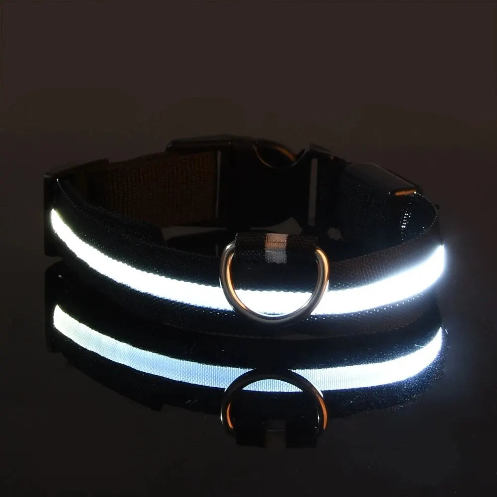 LED Glow Nylon Dog Collar & Leash - Luminous Flashing Night Safety for Dogs Black