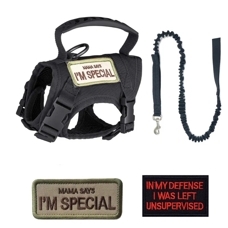 Tactical Harness Vest Dog Harness Leash Set for Small Dogs Training Easy Control Vest Pet Chest Strap Accessories for Puppy Cat C