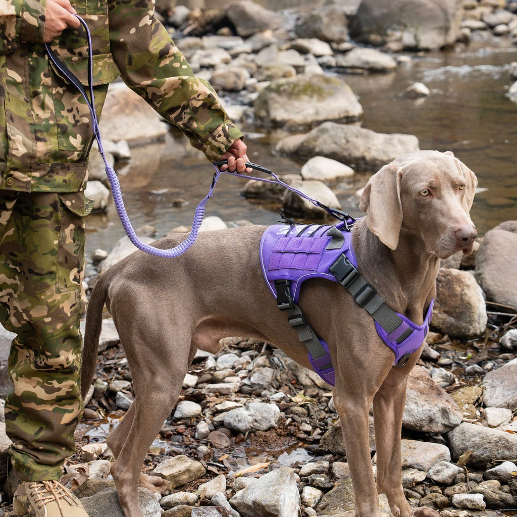 Tactical Dog Harness for Small Medium Large Dogs No Pull Adjustable Pet Harness Reflective Working Training Easy Control Vest