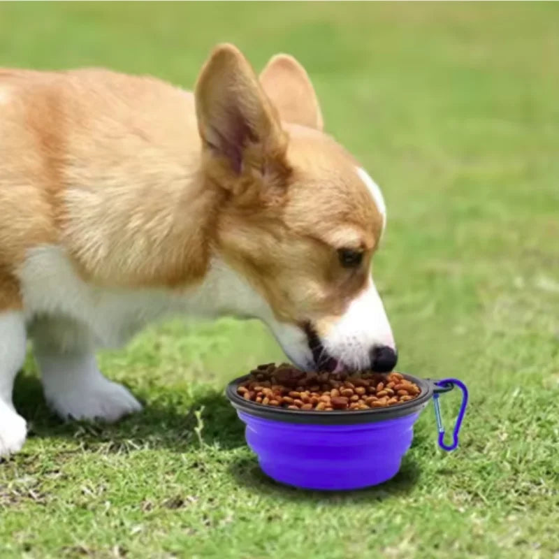 Collapsible TPR Travel Pet Bowl for Dogs & Cats — Portable Food & Water Dish (350/650/1000 ml | 12/22/34 oz)
