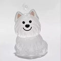 Clear Puppy Hair Memorial Keychain | Pet Fur Keepsake Capsule DIY Pendant A12