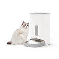 Automatic dog food dispenser with insect-proof seal and timed feeding; 4 meals/10-cup pet food dispenser White 317mmX240mmX370mm