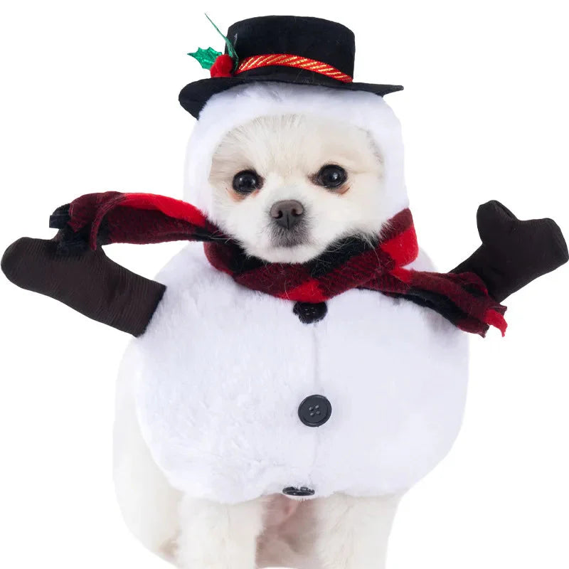 Halloween Dagger Pet Costume - Funny Knife-Holding Dog & Cat Standing Dress for Festival Dress-Up 14