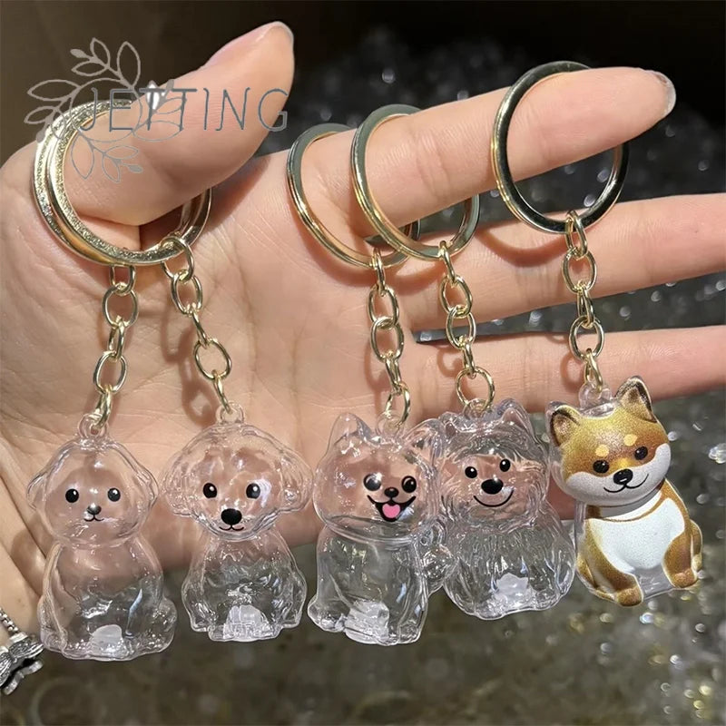 Clear Puppy Hair Memorial Keychain | Pet Fur Keepsake Capsule DIY Pendant