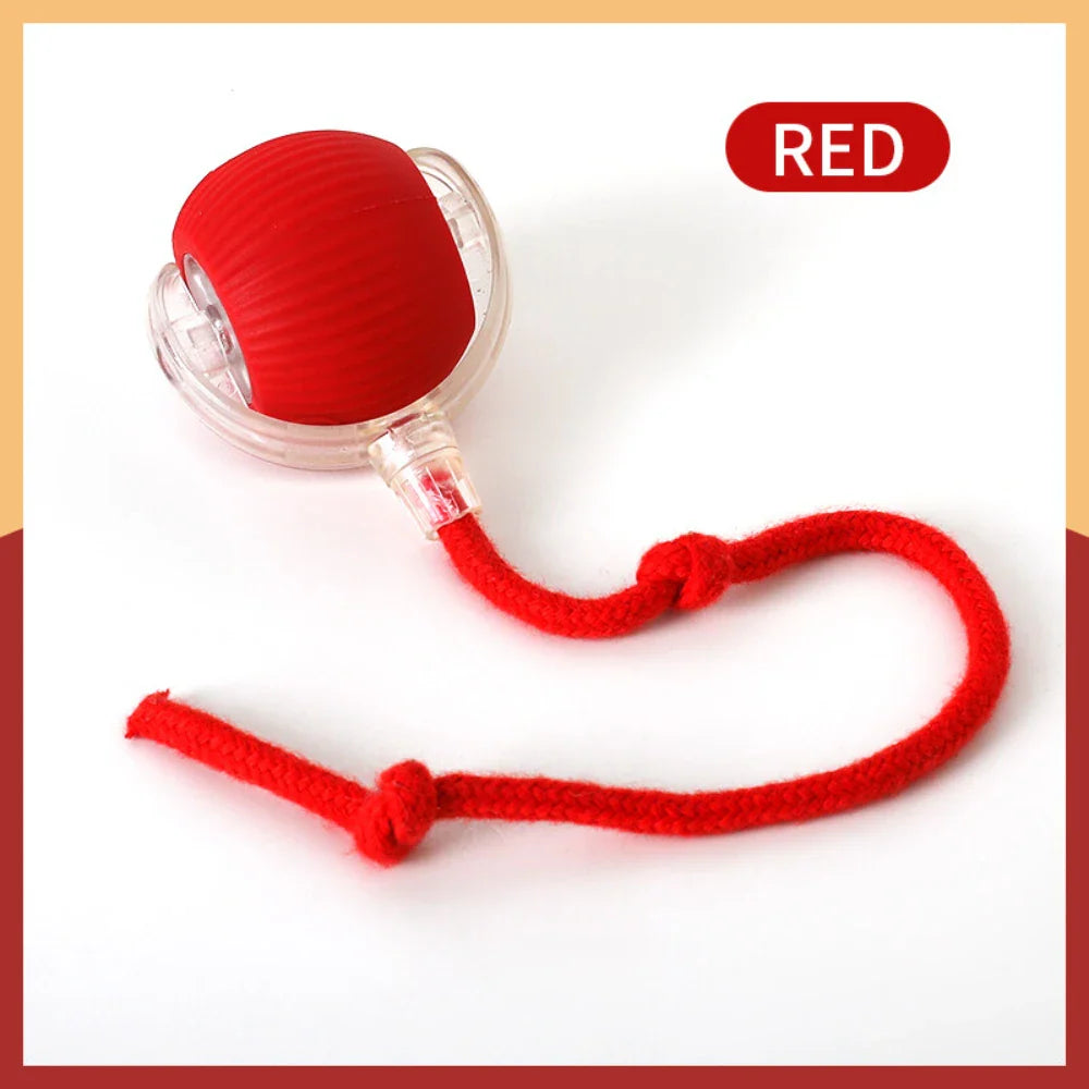 USB Rechargeable Smart Rolling Cat Ball Toy with Tail Lamp – Interactive Automatic Motion Toy for Cats & Small Dogs Red