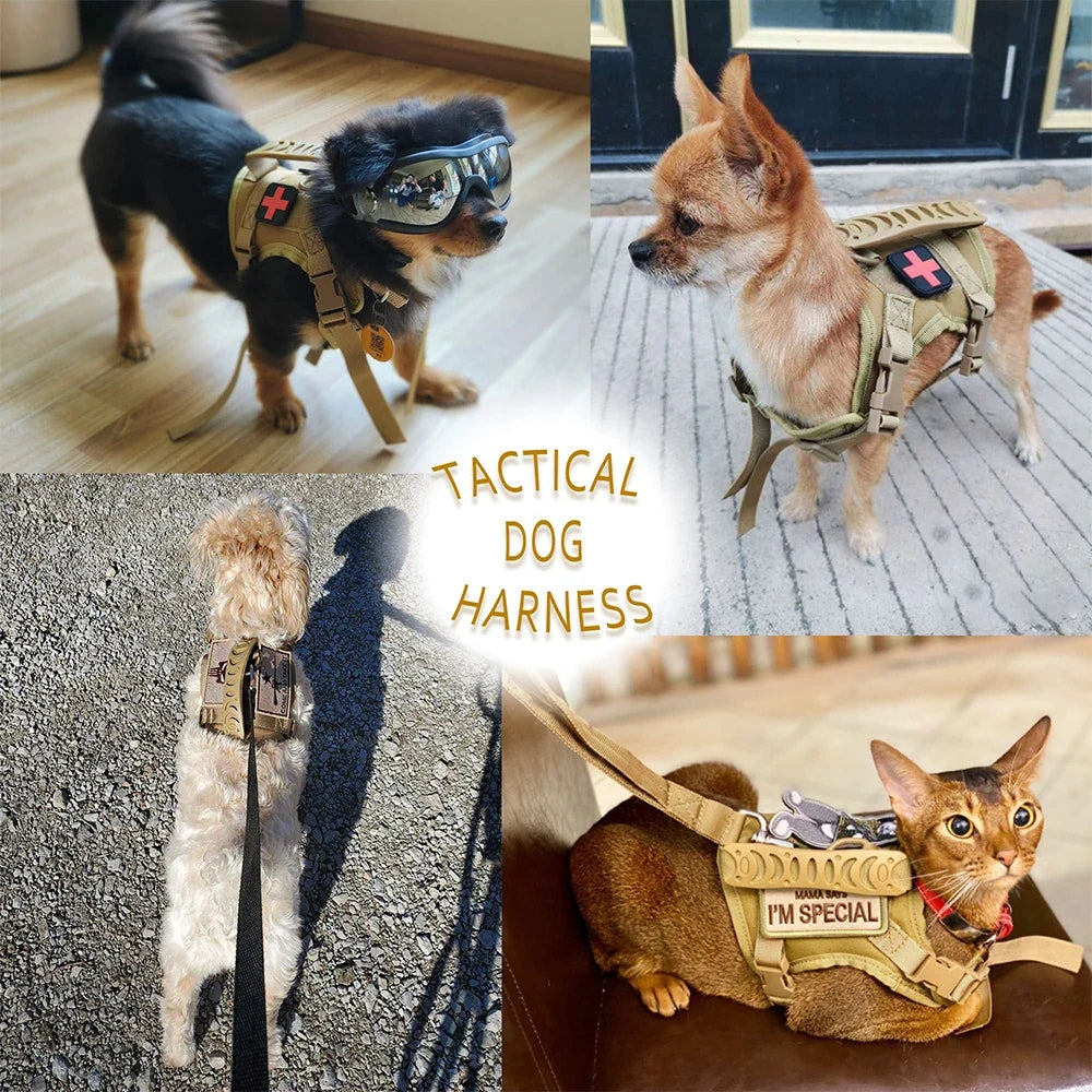 Tactical Puppy Harness For Small Dogs Adjustable Cat Harnesses Vest For Military Service Dogs Training Kitten Cat Accessories