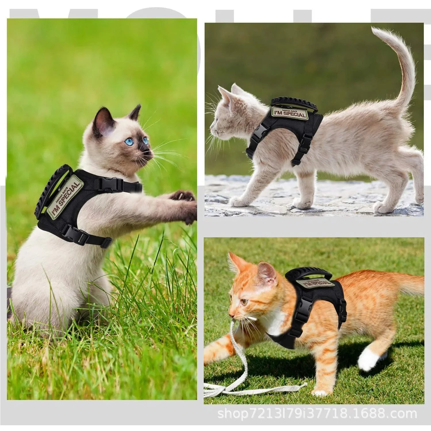 Tactical Military Vest Pet Tactical Training Cat Accessories Cat Dog Harness and Leash Set Kitten Accessories