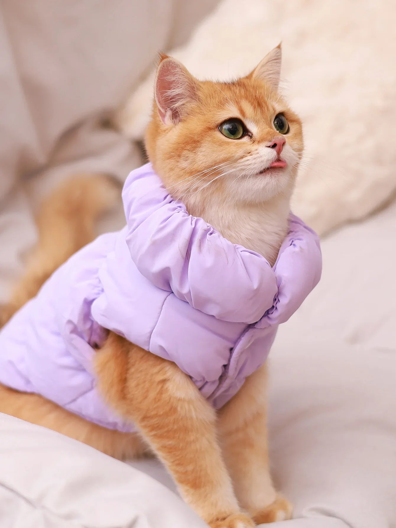 Dog Jacket For Autumn/Winter, Pet Coat, 3-Layer Thick Warm Outerwear, Suitable For Small To Medium Dogs Like Poodle, Teddy, York PURPLE