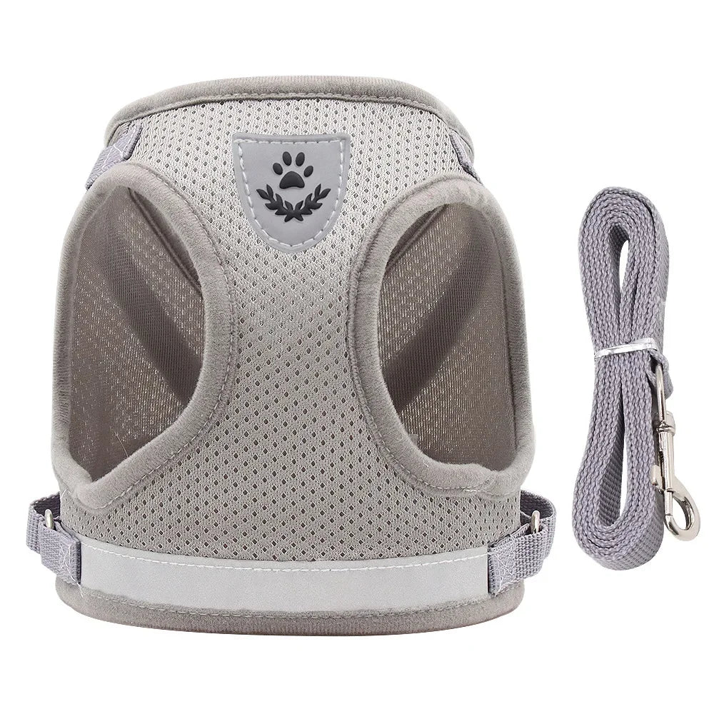 Adjustable Pet Harness & Leash Set – Vest Walking Lead for Dogs & Cats (Puppy & Kitten) Grey