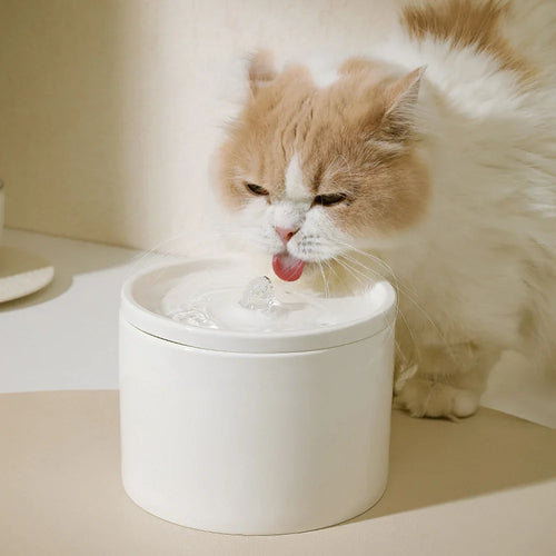 Automatic Ceramic Pet Water Fountain - Silent Circulating Water Dispenser for Cats & Small Dogs