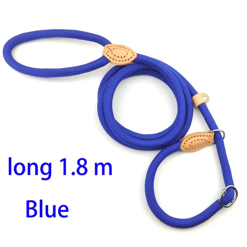 Adjustable Nylon Dog Collar and Harness with Quick-Release Leash, Lightweight Durable Pet Lead for Dogs and Cats Blue 1.8m
