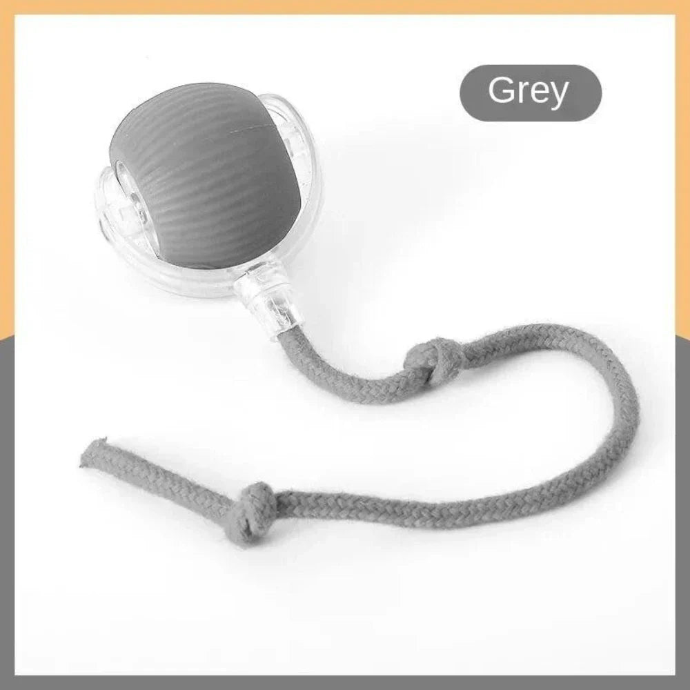 USB Rechargeable Smart Rolling Cat Ball Toy with Tail Lamp – Interactive Automatic Motion Toy for Cats & Small Dogs GRAY