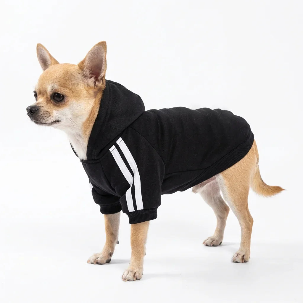 Sport Dog Clothes for Small Medium Big Large Dogs Cotton Hoodie Sweatshirt Hot Selling Warm Two-Legged Pet Outfit black
