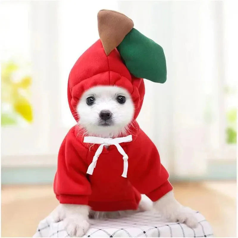 Cute Dog Hoodie with Hat - Funny Pet Fruit Costume for Halloween & Daily Wear Red