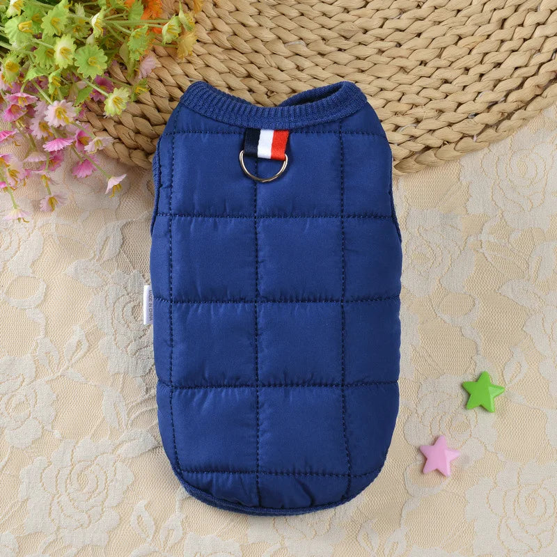 Winter Padded Windproof Dog Coat for Small Dogs - Chihuahua & Puppy Jacket BLUE
