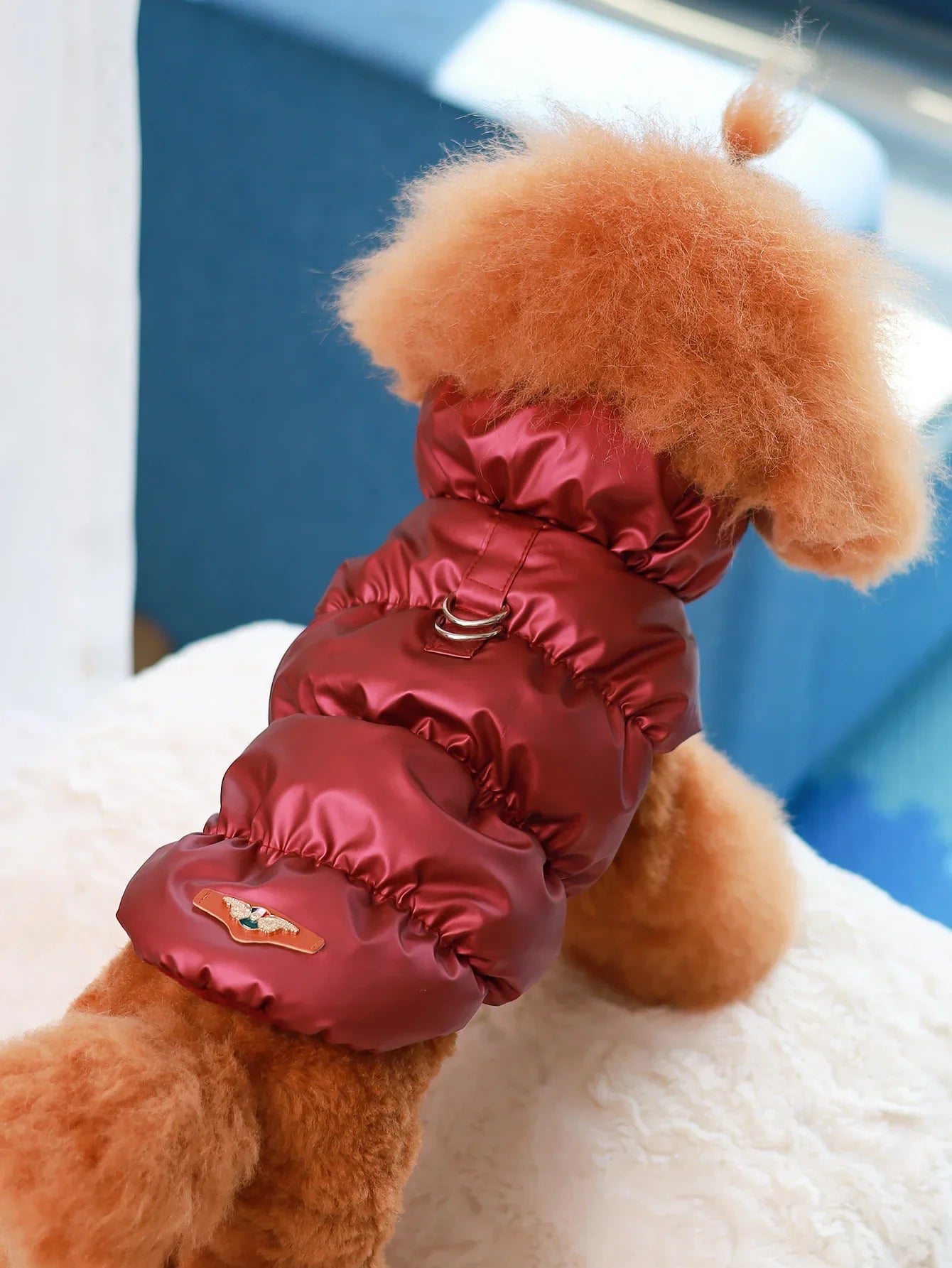 Dog Jacket For Autumn/Winter, Pet Coat, 3-Layer Thick Warm Outerwear, Suitable For Small To Medium Dogs Like Poodle, Teddy, York Burgundy