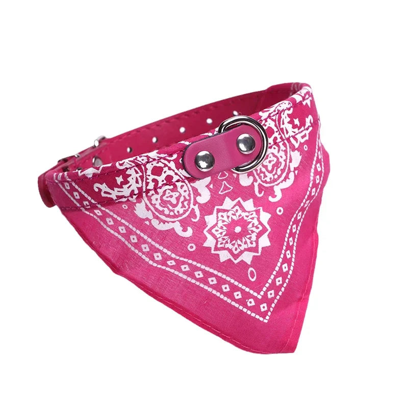 Adjustable PU Dog Cat Collar with Detachable Scarf | Pet Accessories for Small Medium Dogs and Cats Rose Default