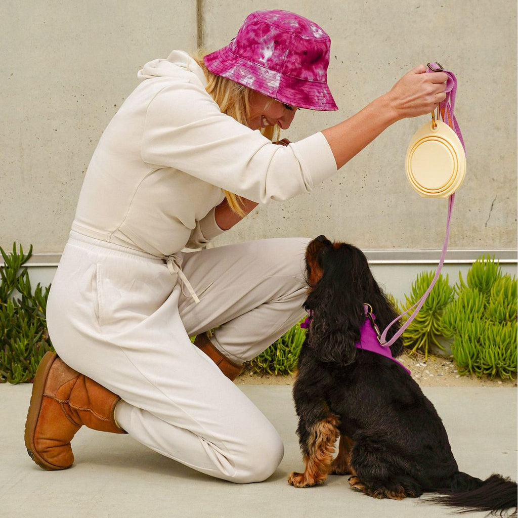 Tilley + Me Collapsible Double Pet Bowl – Lightweight & Portable for Travel