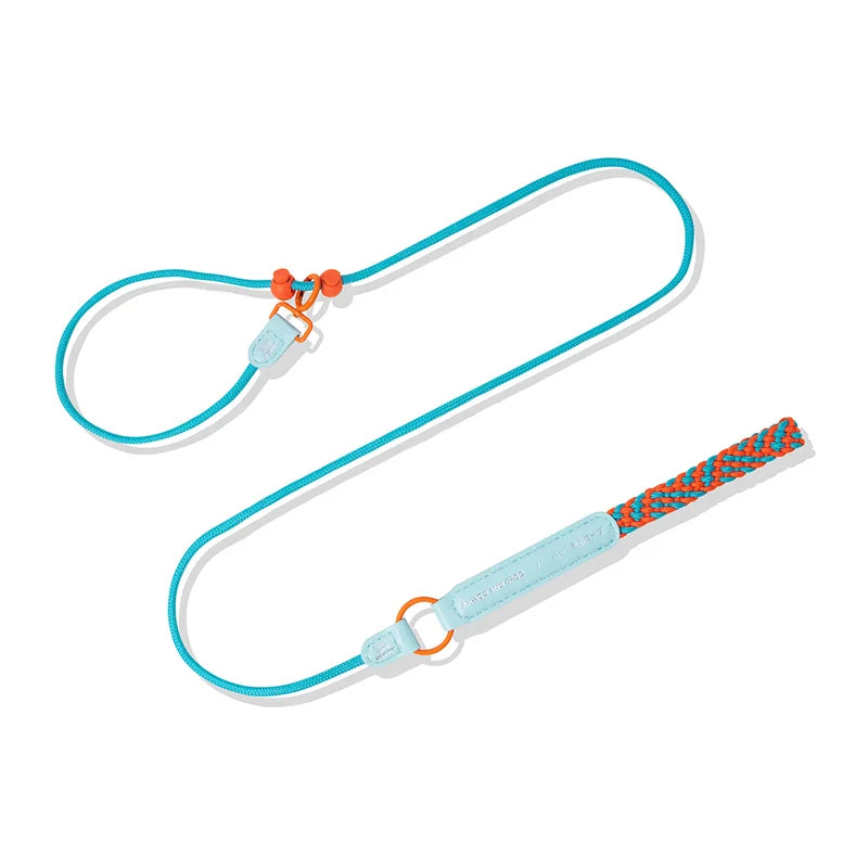 New Durable Nylon Pet P Chain Dogs Slip Training Lead Adjustable Puppy Dog Training Leash Collar For Small Medium Large Dogs Blue China Mainland