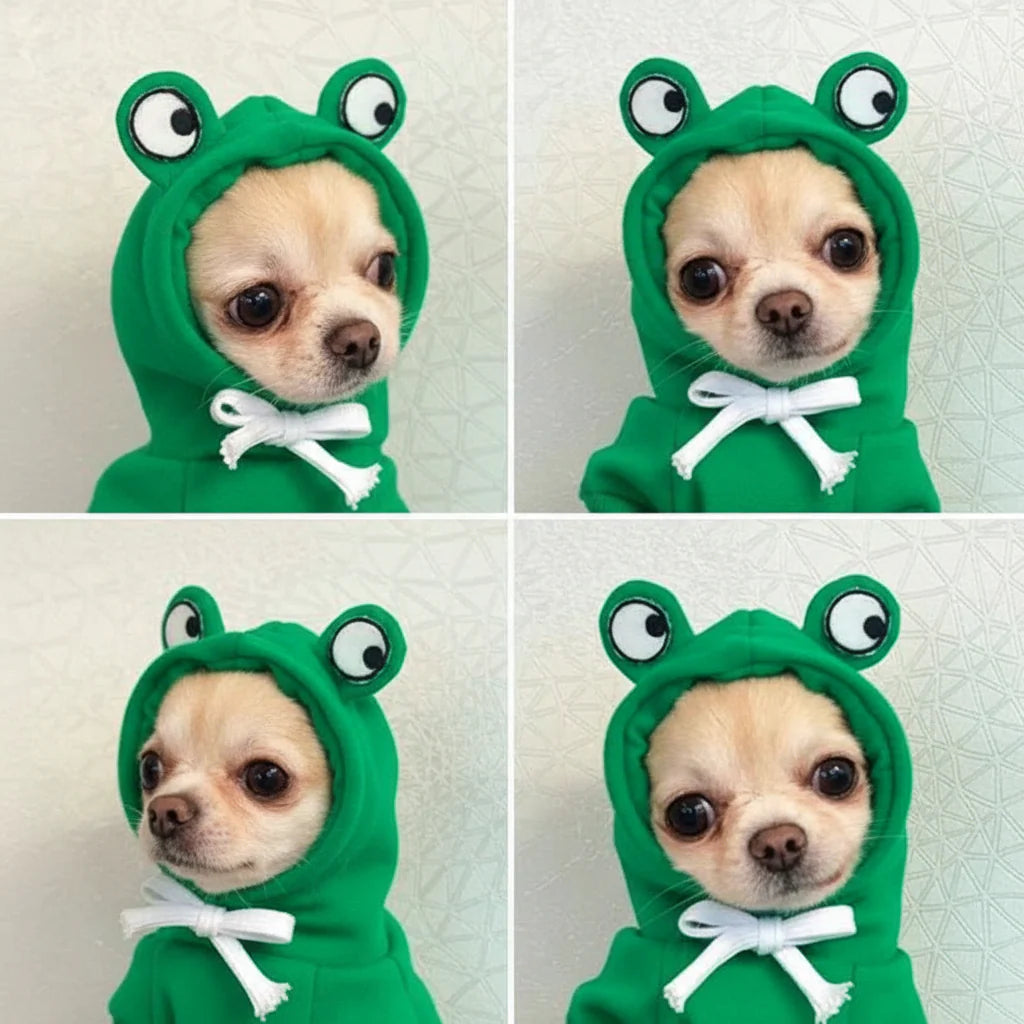 Cute Fruit Pet Hoodie Sweater – Warm Costume for Cats and Small Dogs Green Frog