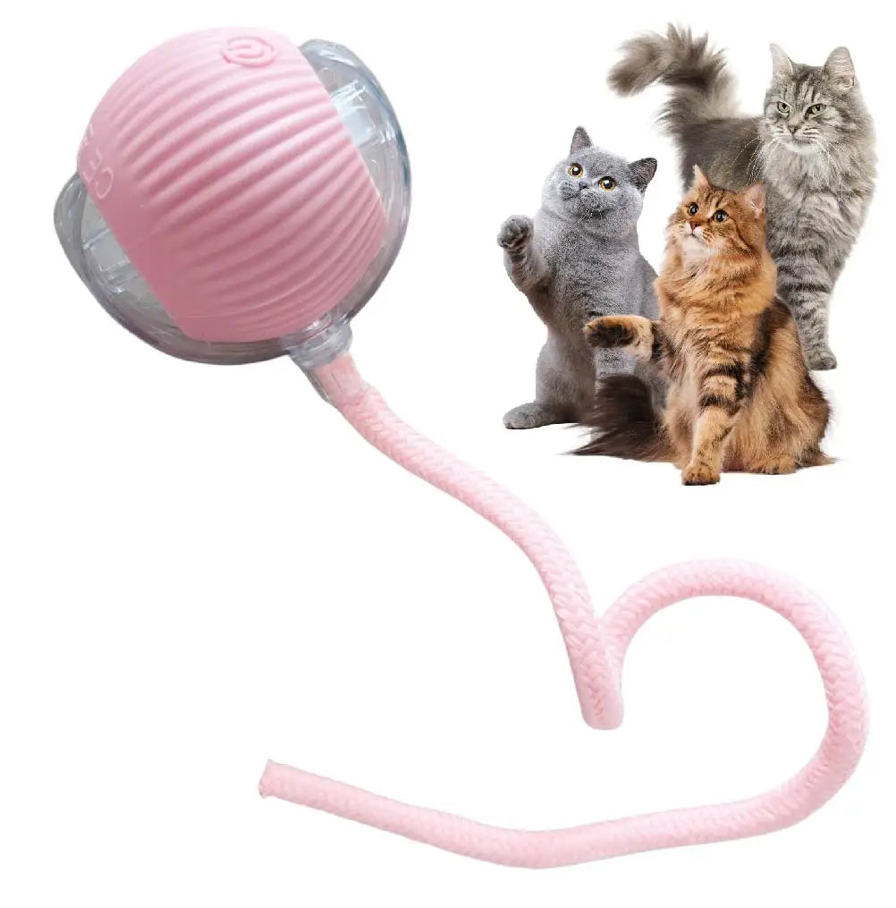 USB Rechargeable Smart Rolling Cat Ball Toy with Tail Lamp – Interactive Automatic Motion Toy for Cats & Small Dogs Pink