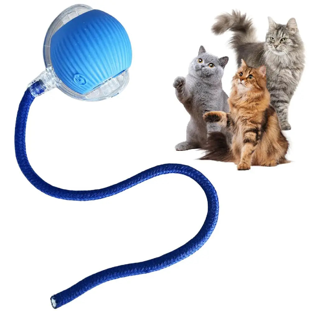 USB Rechargeable Smart Rolling Cat Ball Toy with Tail Lamp – Interactive Automatic Motion Toy for Cats & Small Dogs Blue