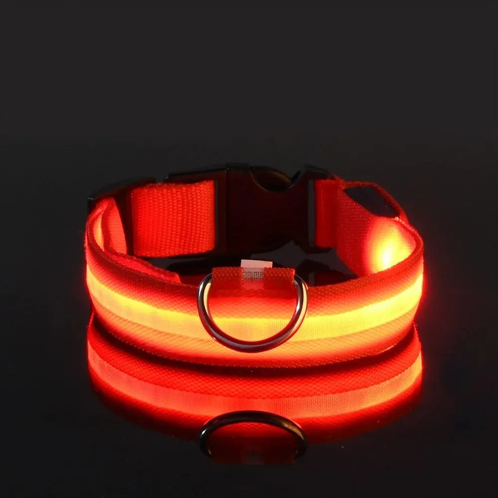 LED Glow Dog Collar & Leash Set – Nylon Luminous Reflective Safety Flashing Night Light for Pets Red