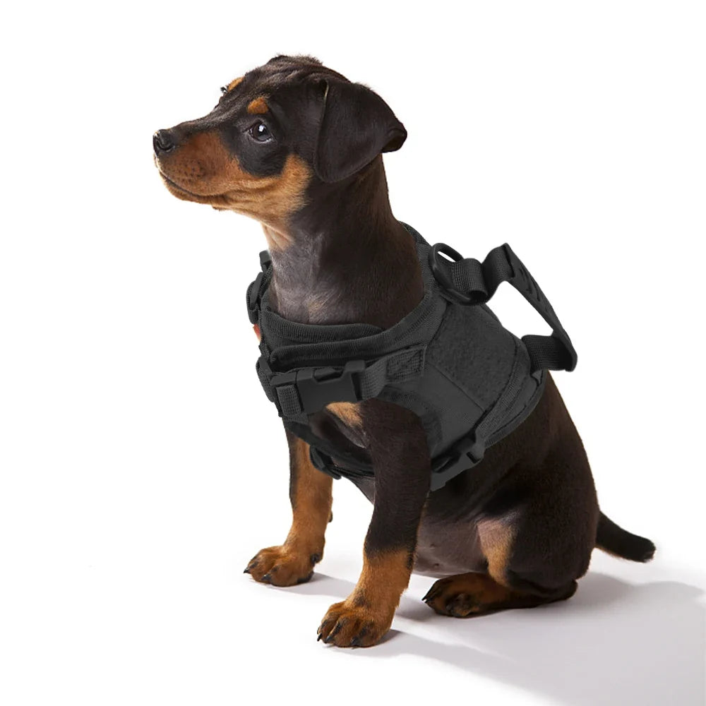 Tactical Small Dog Harness For Puppy Cats Adjustable Kitten Vest Harnesses For Military Dogs Working Training Walking Free Size black