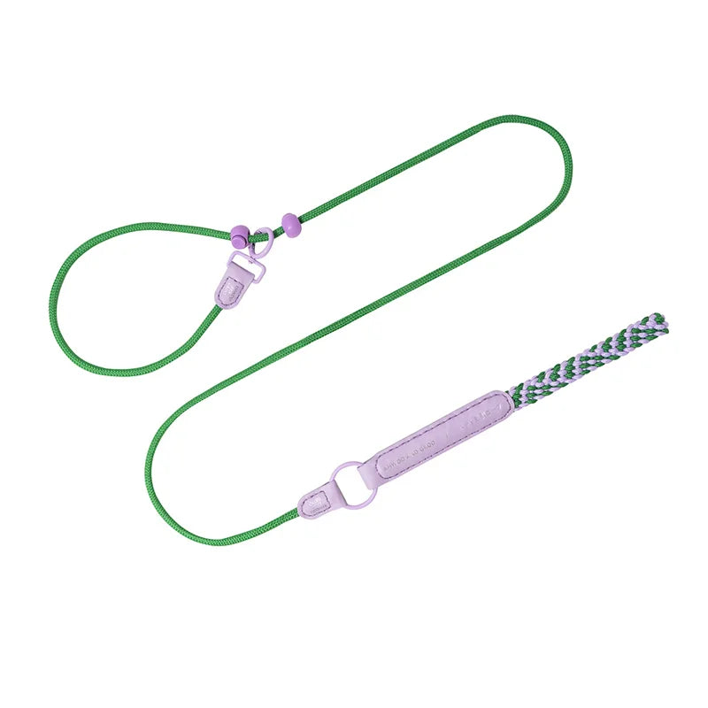 New Durable Nylon Pet P Chain Dogs Slip Training Lead Adjustable Puppy Dog Training Leash Collar For Small Medium Large Dogs Green China Mainland