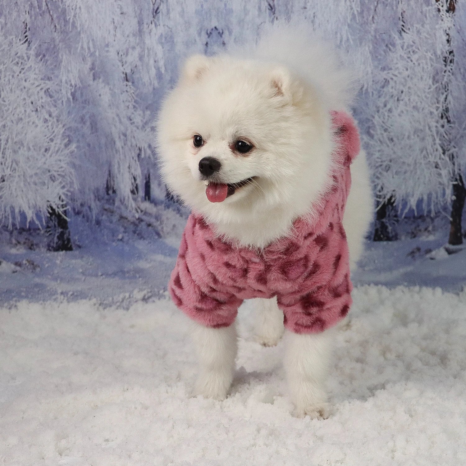 Pet Warm Clothes for Dog Cat Puppy Jacket with Lovely Ear Hat Fuzzy Coat Sweatshirt Dog Costume Outfits for Small Medium Dog fo