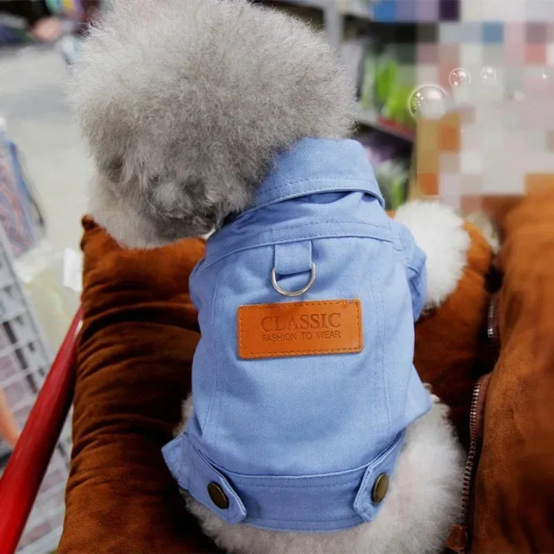 Clothing for Dog Suit Dogs Dress Dachshund Puppy Clothes Corgi Medium Hoodie Costume Pet Accessories Coat Small Breeds Summer Blue China Mainland