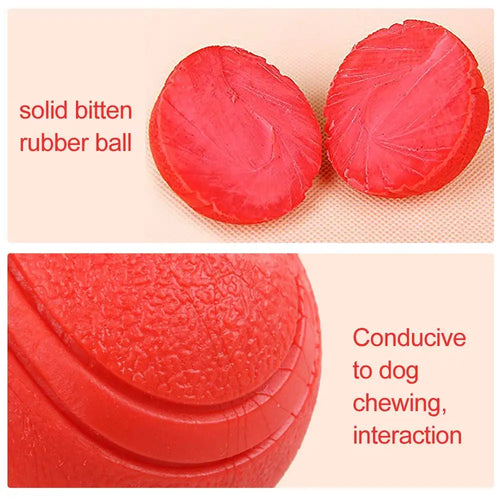 Bite-Resistant Rubber Dog Ball Toy – Chew-Proof Fetch Toy for Dogs & Puppies, Sizes S–XL (5–9 cm | 2–3.5 in) – Red