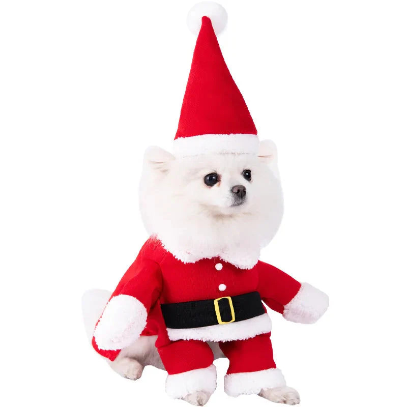 Halloween Dagger Pet Costume - Funny Knife-Holding Dog & Cat Standing Dress for Festival Dress-Up 12