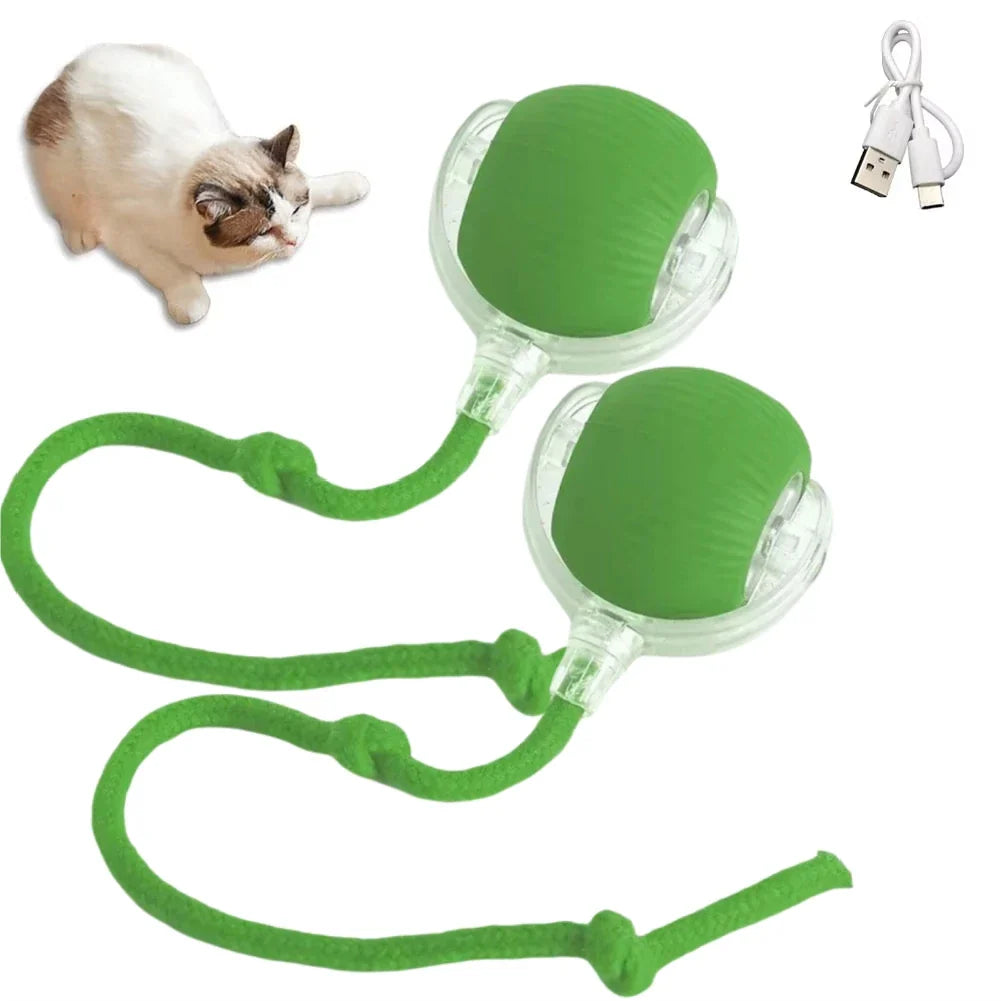 Rechargeable Interactive Rolling Cat Toy with Faux Tail - Motion-Activated Ball for Cats & Small Dogs 2PC Green