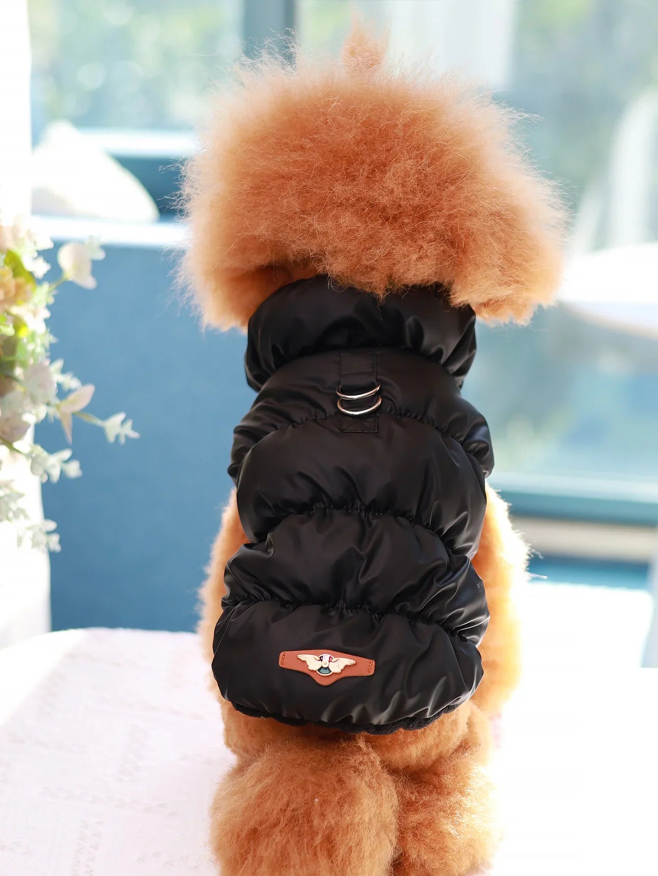 Dog Jacket For Autumn/Winter, Pet Coat, 3-Layer Thick Warm Outerwear, Suitable For Small To Medium Dogs Like Poodle, Teddy, York black