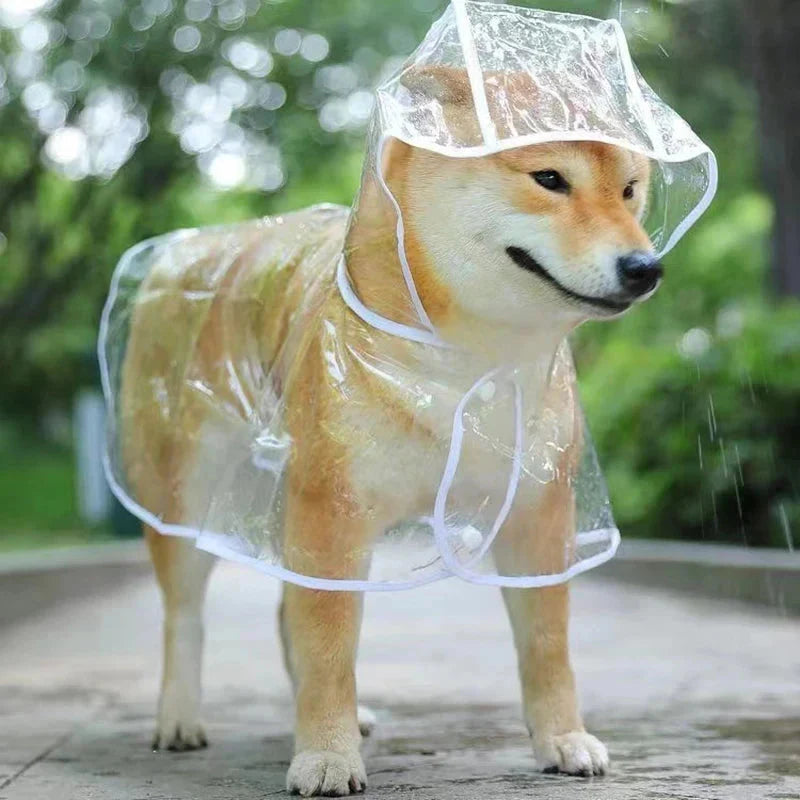 Transparent Dog Raincoat – Waterproof Hooded Pet Rainwear Jacket for Small Dogs White