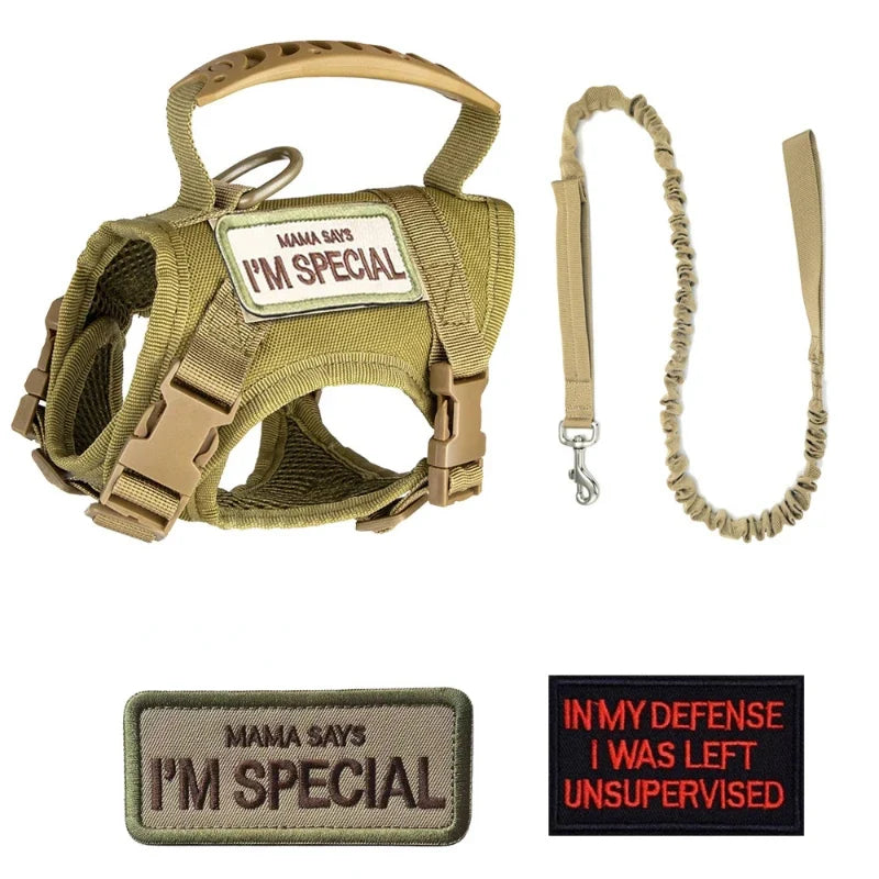 Tactical Harness Vest Dog Harness Leash Set for Small Dogs Training Easy Control Vest Pet Chest Strap Accessories for Puppy Cat D