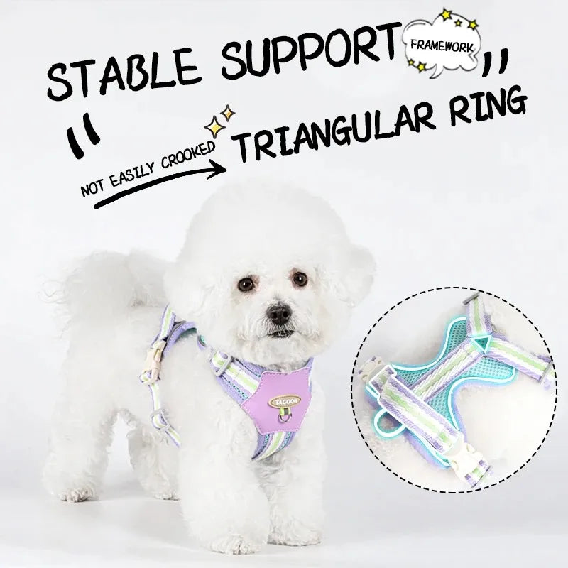 Dog Collars Leash Pet Collar Big Harness Tactical Vest Supplies Pets Dogs Things Small Accessories Cats Puppy Chest Products