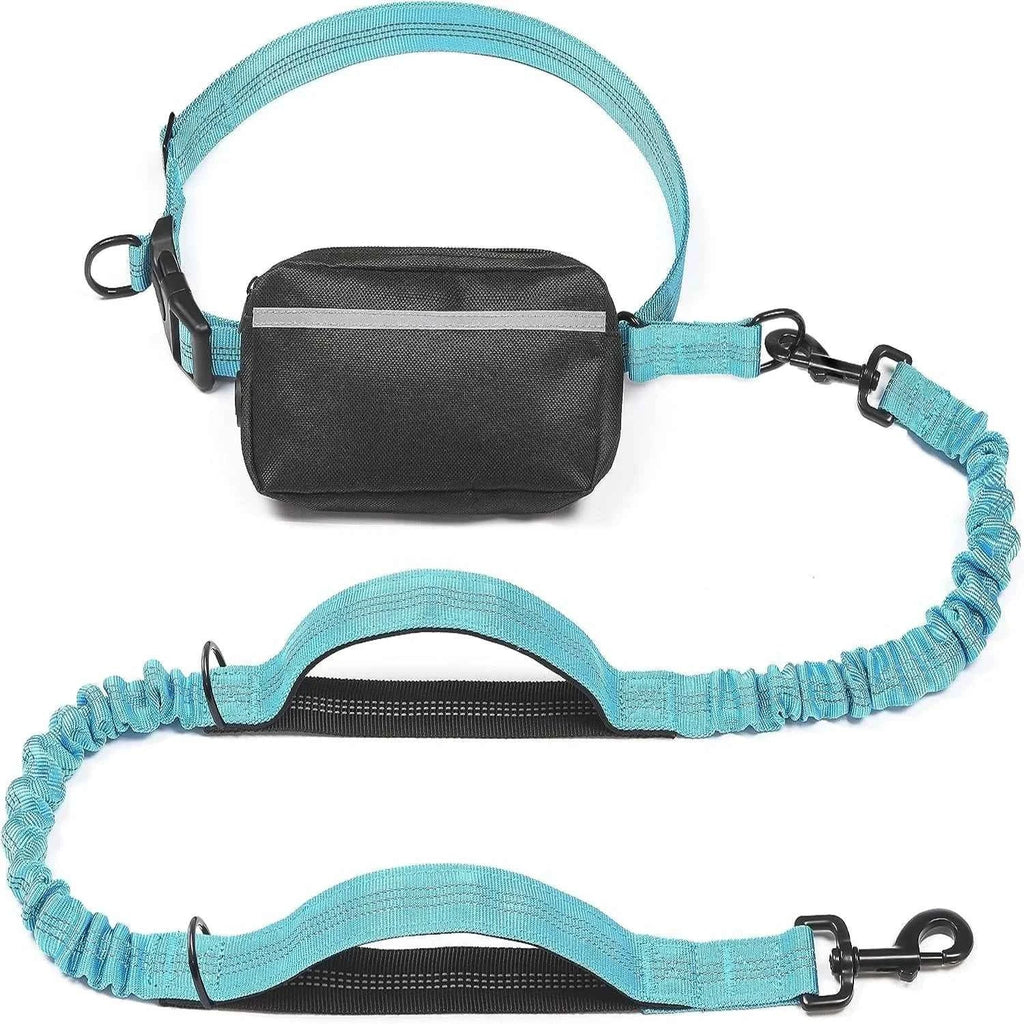 Walk Free: Hands-Free Dog Leash with Zipper Pouch Large Blue