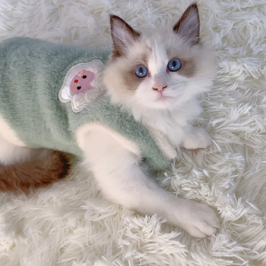 Warm Pet Sweater Vest for Cats & Small Dogs – Kitten Clothes, Winter Pet Apparel Green China Mainland