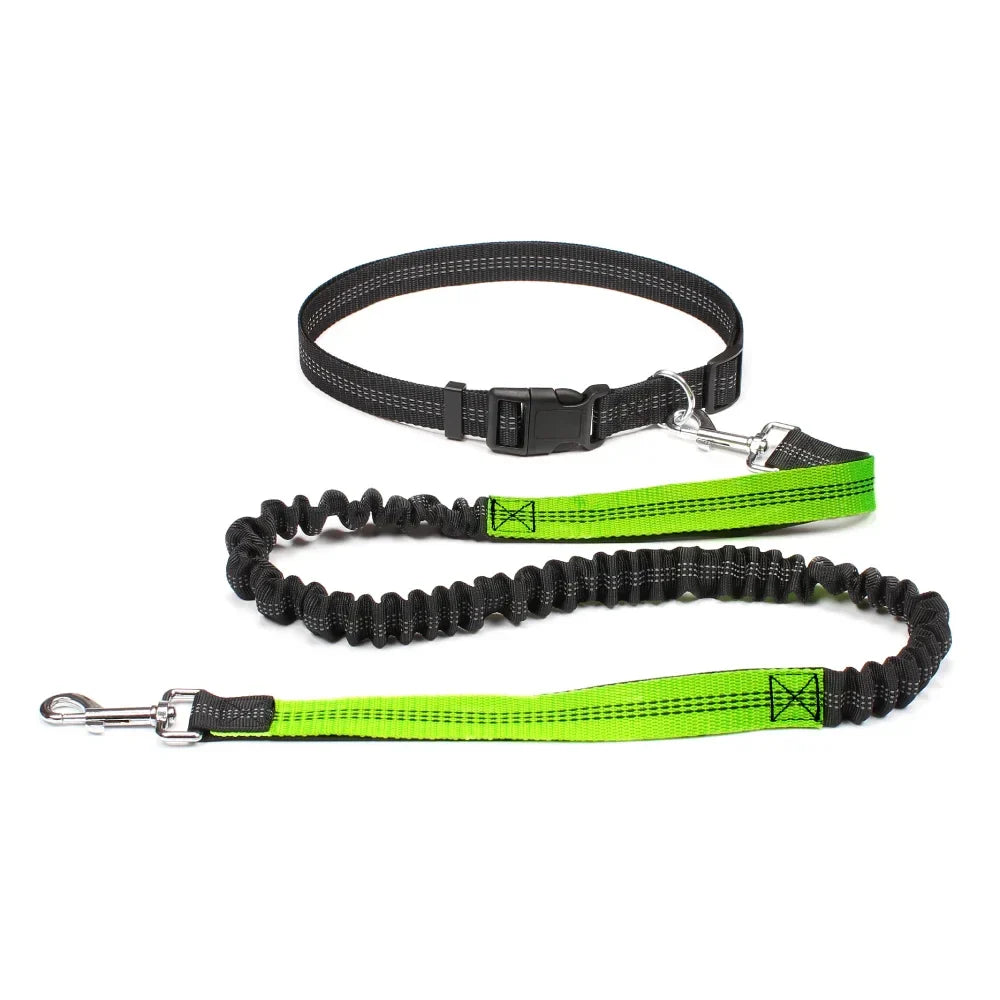 Hands-Free Dog Leash – Adjustable Waist Belt & Chest Strap, Reflective Running Jogging Leash 27.5–47 in (70–120 cm) Waist, 50–70 in (125–180 cm) Leash green M