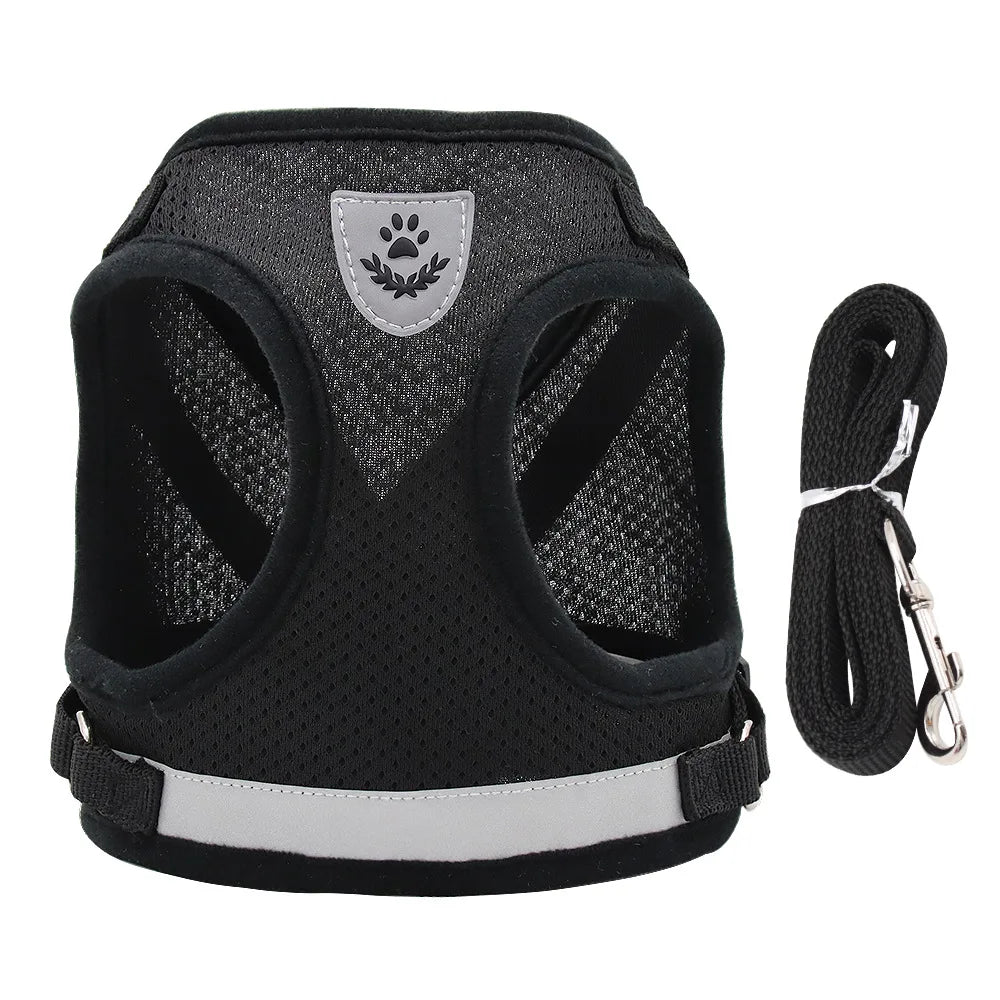 Adjustable Pet Harness & Leash Set – Vest Walking Lead for Dogs & Cats (Puppy & Kitten) Black