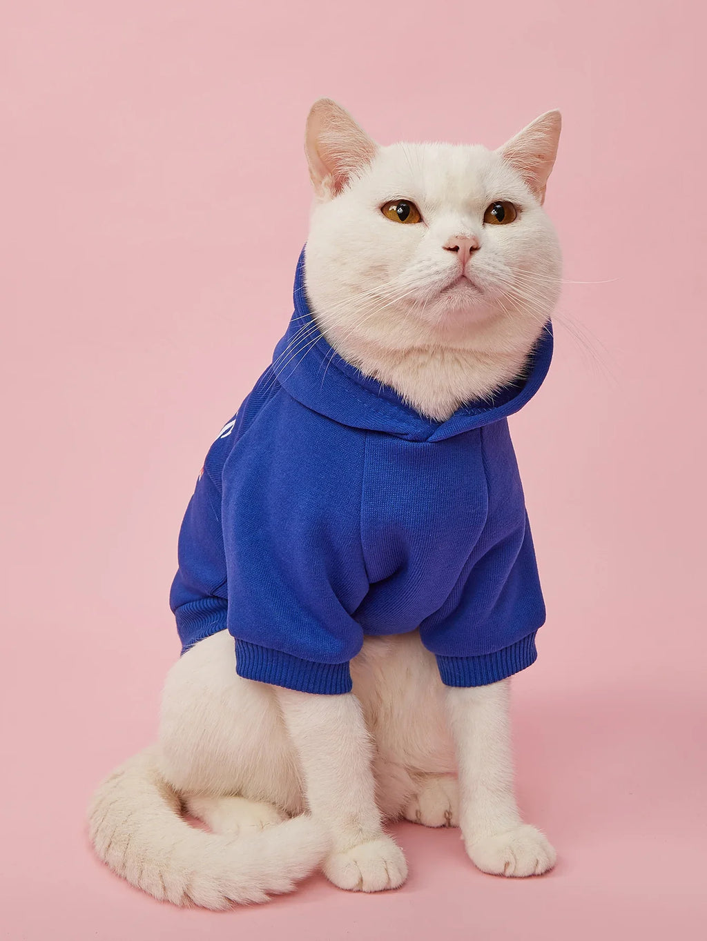 Pet Clothes for Dog Cat Puppy Hoodies Coat MOMMY'S BOY Sweatshirt Dog Outfits for Small Medium Dog Cat