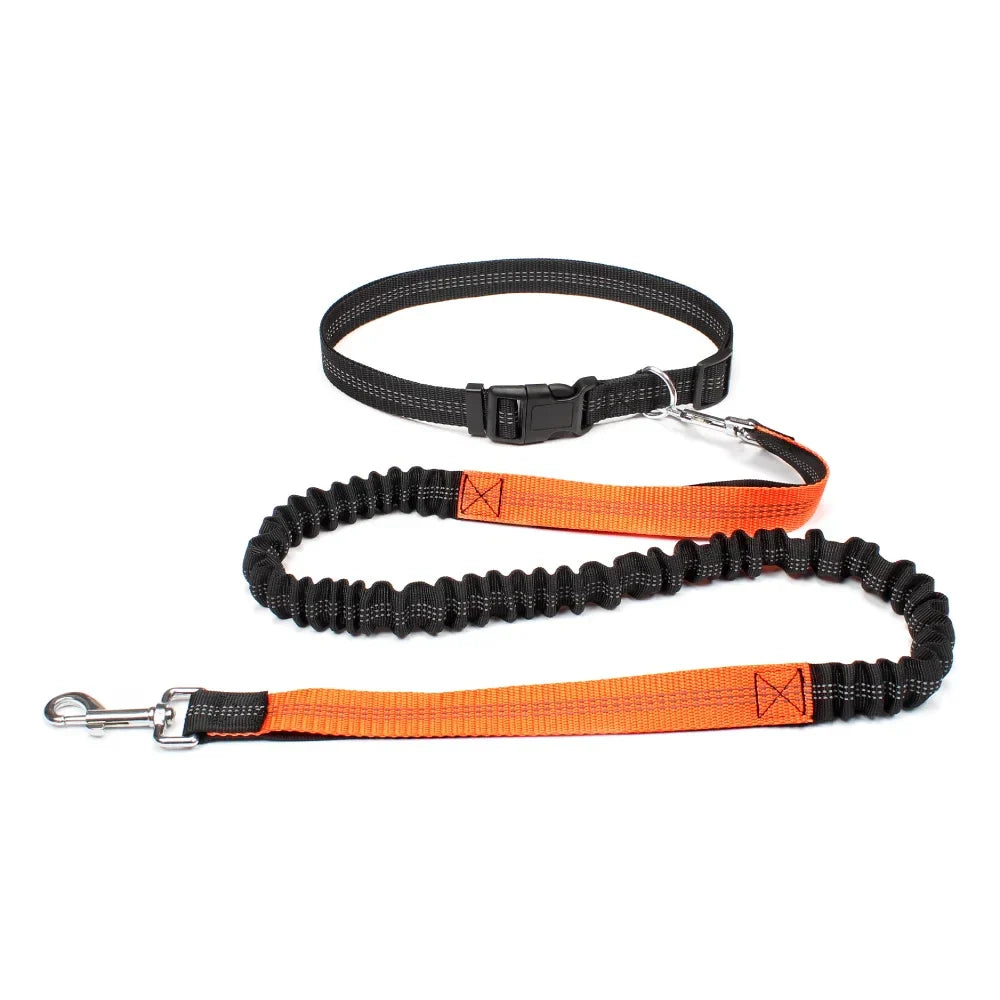 Hands-Free Dog Leash – Adjustable Waist Belt & Chest Strap, Reflective Running Jogging Leash 27.5–47 in (70–120 cm) Waist, 50–70 in (125–180 cm) Leash Orange M