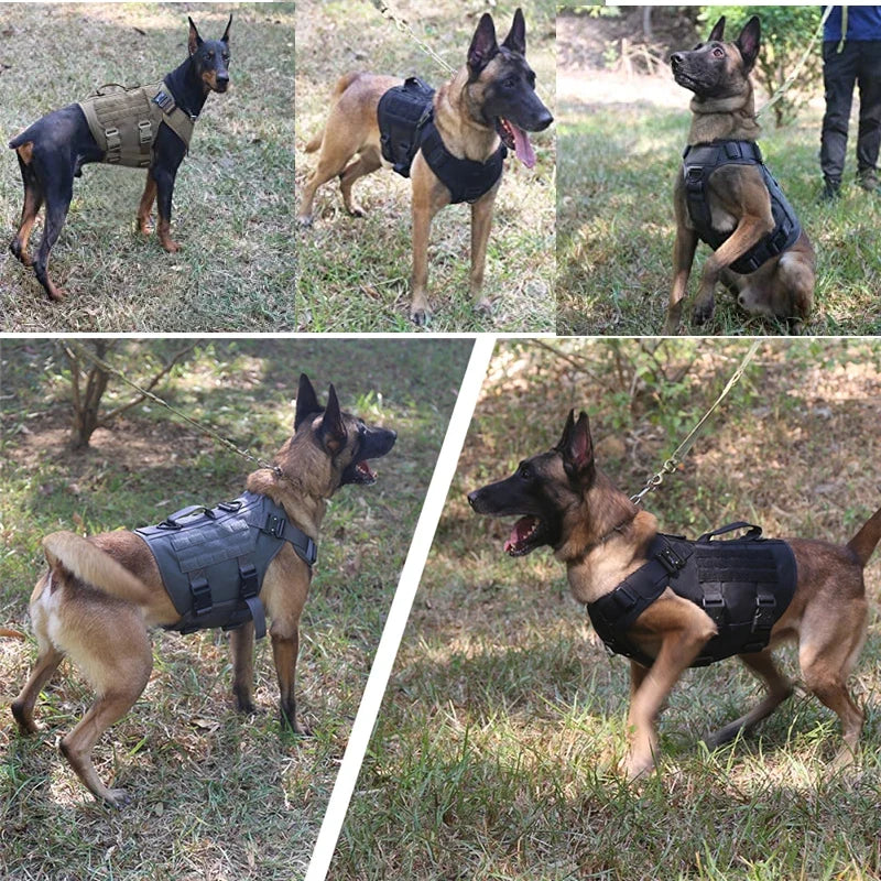Tactical Military Vest Pet German Shepherd Golden Retriever Tactical Training Dog Harness and Leash Set For All Breeds Dogs