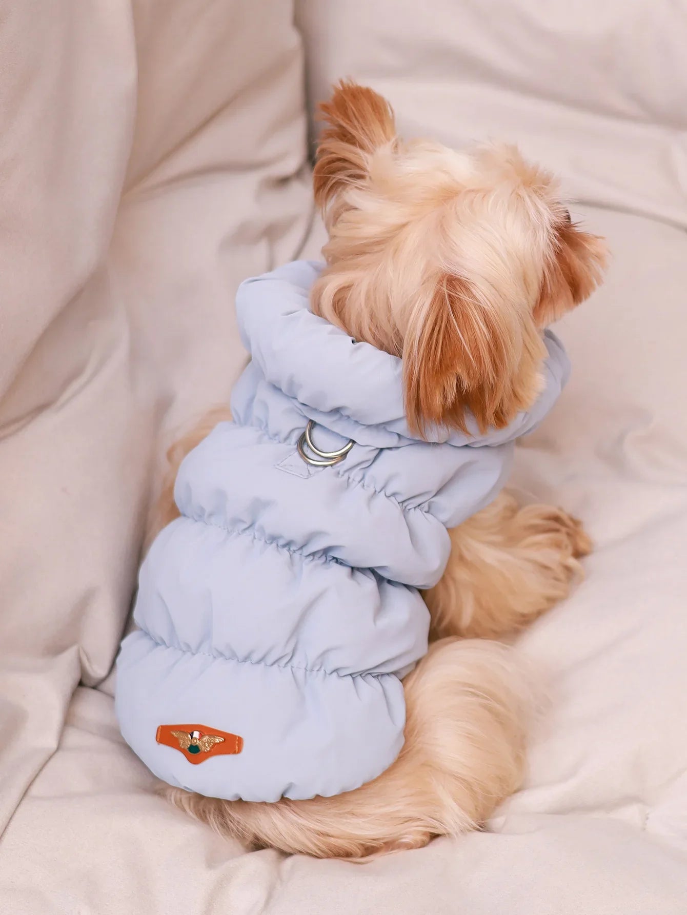 Dog Jacket For Autumn/Winter, Pet Coat, 3-Layer Thick Warm Outerwear, Suitable For Small To Medium Dogs Like Poodle, Teddy, York Blue